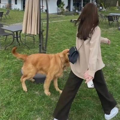 小鱼